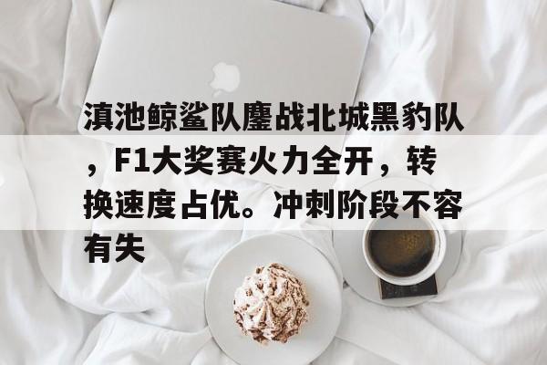 爱游戏官网-包含滇池鲸鲨队鏖战北城黑豹队，F1大奖赛火力全开，转换速度占优。冲刺阶段不容有失的词条